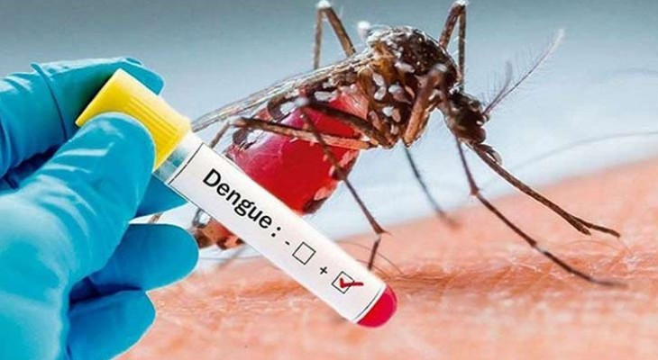 ২৪ ঘণ্টায় ডেঙ্গুতে আরও ৬ মৃত্যু, হাসপাতালে ভর্তি ৯৮৩